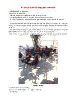 Kỹ thuật nuôi Gà Đông tảo thả vườn