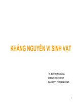 KHÁNG NGUYÊN VI SINH VẬT, ĐẠI HỌC Y TẾ CÔNG CỘNG