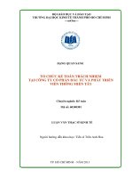 Tổ chức kế toán trách nhiệm tại công ty cổ phần đầu tư và phát triển viễn thông miền tây