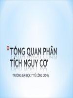 TỔNG QUAN PHÂN TÍCH NGUY CƠ, ĐẠI HỌC Y TẾ CÔNG CỘNG