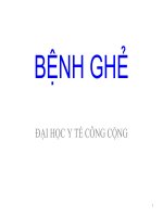 BỆNH GHẺ, ĐẠI HỌC Y TẾ CÔNG CỘNG