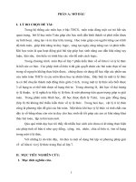 SKKN một số dạng bài tập và phương pháp giải về  số hữu tỉ và tỷ lệ thức trong Đại số lớp 7