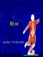 HỆ CƠ - ĐẠI HỌC Y TẾ CÔNG CỘNG