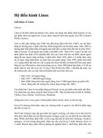 Giáo trình Hệ điều hành Linux - Phần 1 - Viện CNTT - ĐH quốc gia Hà Nội