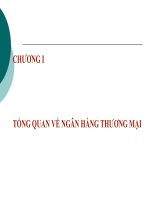 Bài giảng Nghiệp vụ Ngân hàng thương mại Chương 1 - Hoàng Hải Yến