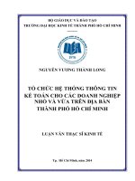 Tổ chức hệ thống thông tin kế toán cho các doanh nghiệp nhỏ và vừa trên địa bàn TPHCM