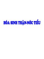 HÓA SINH THẬN - NƯỚC TIỂU, ĐẠI HỌC Y TẾ CÔNG CỘNG