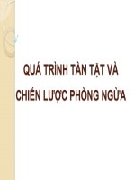 QUÁ TRÌNH TÀN TẬT VÀ CHIẾN LƯỢC PHÒNG NGỪA