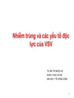 Nhiễm trùng và các yếu tố độc lực của VSV, ĐẠI HỌC Y TẾ CÔNG CỘNG