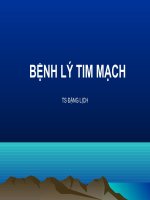 BỆNH LÝ TIM MẠCH, TS ĐẶNG LỊCH, BỆNH VIỆN HỮU NGHỊ