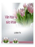 VĂN HÓA VÀ SỨC KHOE, LE MINH THI