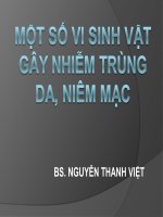 MỘT SỐ VI SINH VẬT GÂY NHIỄM TRÙNG, ĐẠI HỌC Y TẾ CÔNG CỘNG