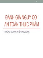 ĐÁNH GIÁ NGUY CƠ AN TOÀN THỰC PHẨM