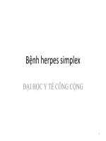 Bệnh herpes simplex, ĐẠI HỌC Y TẾ CÔNG CỘNG