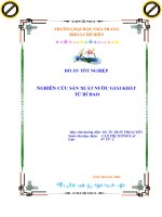 sản xuất nước giải khát và ứng dụng của nha đam