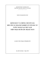 Kiểm soát và chống chuyển giá đối với các doanh nghiệp có vốn đầu tư nước ngoài tại việt nam nhìn nhận dưới góc độ kế toán