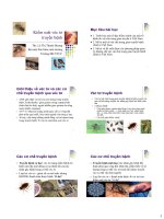 KIỂM SOÁT VÉC TƠ TRUYỀN BỆNH, THS. LÊ THỊ THANH HƯƠNG