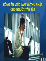 CÔNG ĂN VIỆC LÀM VÀ THU NHẬP CHO NGƯỜI TÀN TẬT