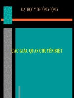CÁC GIÁC QUAN CHUYÊN BIỆT(TAI, MŨI), ĐẠI HỌC Y TẾ CÔNG CỘNG
