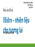 Hidro - nhiên liệu cho tương lai