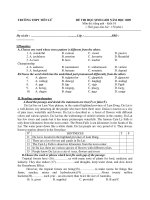 Đề thi học sinh giỏi lớp 10 môn Tiếng Anh Trường THPT Tiên Lữ (2009)