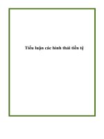 Tiểu luận các hình thái tiền tệ