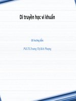 Di truyền học vi khuẩn