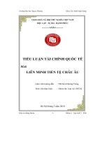 Đề tài Liên minh tiền tệ châu Âu