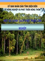 MỘT SỐ CHÍNH SÁCH PHÁT TRIỂN LÂM NGHIỆP