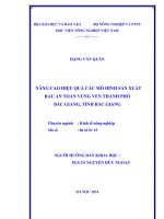 Nâng cao hiệu quả các mô hình sản xuất rau an toàn vùng ven thành phố Bắc Giang, tỉnh Bắc Giang