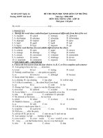 Đề thi học sinh giỏi lớp 10 môn Tiếng AnhTrường THPT Anh Sơn1  Nghệ An năm 2009