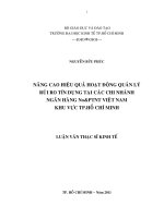 Nâng cao hiệu quả hoạt động quản lý rủi ro tín dụng tại các chi nhánh ngân hàng nông nghiệp và phát triển nông thôn việt nam khu vực TP hồ chí minh