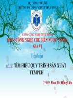 TÌM HIỂU QUY TRÌNH SẢN XUẤT TEMPEH