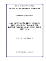 Ảnh hưởng cấu trúc vốn đến hiệu quả hoạt động kinh doanh tại các ngân hàng TMCP việt nam