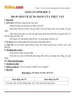 Giáo án sinh học 6 bài bảo vệ sự đa dạng của thực vật