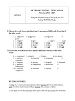 Đề thi học sinh giỏi lớp 10 môn Tiếng Anh Trường THPT Phú Nhuận năm 2014