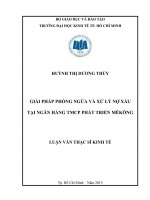 Giải pháp phòng ngừa và xử lý nợ xấu tại ngân hàng TMCP phát triển mêkông