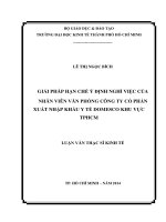 Giải pháp hạn chế ý định nghỉ việc của nhân viên văn phòng công ty cổ phần XNK y tế domesco khu vực TPHCM