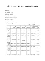 BÀI TẬP PHÂN TÍCH HOẠT ĐỘNG KINH DOANH PHÂN TÍCH NGUỒN VỐN