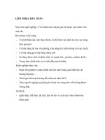 CV Dự tuyển vào công ty Samsung  Bản Tiếng Việt và Tiếng Anh