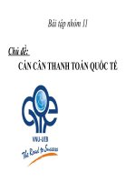 cán cân thanh toán quốc tế