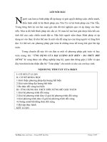 SKKN ỨNG DỤNG CỦA ĐẠI LƯỢNG BẤT BIẾN - ĐA THỨC ĐỐI XỨNG