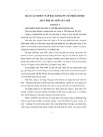 Báo cáo Thực tập tại Công ty cổ phần kính mắt tràng tiền