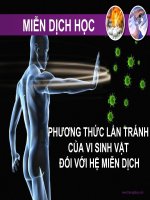 PHƯƠNG THỨC LẨN TRÁNH CỦA VI SINH VẬT ĐỐI VỚI HỆ MIỄN DỊCH