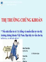 Nếu nhà đầu tư có 1 tỷ đồng và muốn đầu tư vào thị trường chứng khoán Việt Nam. Bạn hãy tư vấn cho họ biết làm gì để bắt đầu