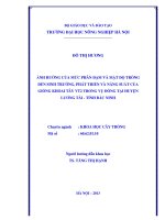 Ảnh hưởng của mức phân đạm và mật độ trồng đến sinh trưởng, phát triển và năng suất của giống khoai tây VT2 trong vụ đông tại huyện Lương Tài tỉnh Bắc Ninh