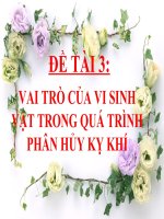 VAI TRÒ CỦA VI SINH VẬT TRONG QUÁ TRÌNH PHÂN HỦY KỴ KHÍ