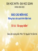 BÁO CÁO MÔN HỌC Động học các quá trình điện hoá Đề tài “Ắc-quy kiềm”