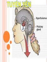 bài thuyết trình tuyến yên