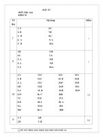 Đáp Án Đề thi học sinh giỏi lớp 10 môn Tiếng Anh Trường THPT Trần Nguyên Hãn